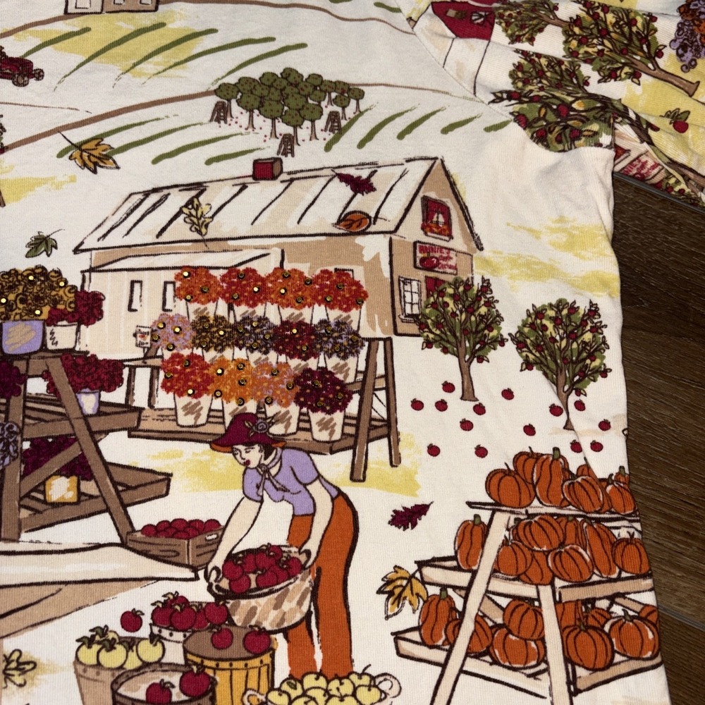 Vintage Christopher Banks Farm Market Grandmacore Top Autumn Xl - Picture 3 of 6